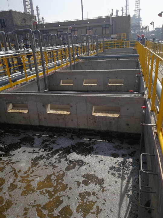 1536293800826037355.jpg 現(xiàn)場圖.jpg